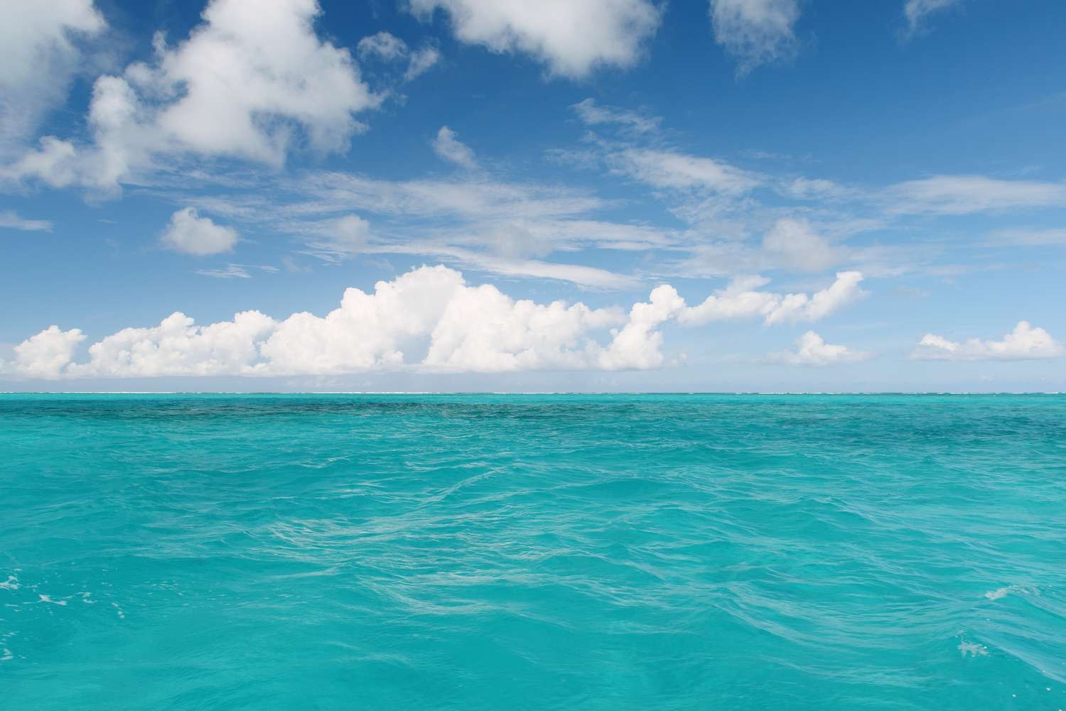 潮汐引线海报